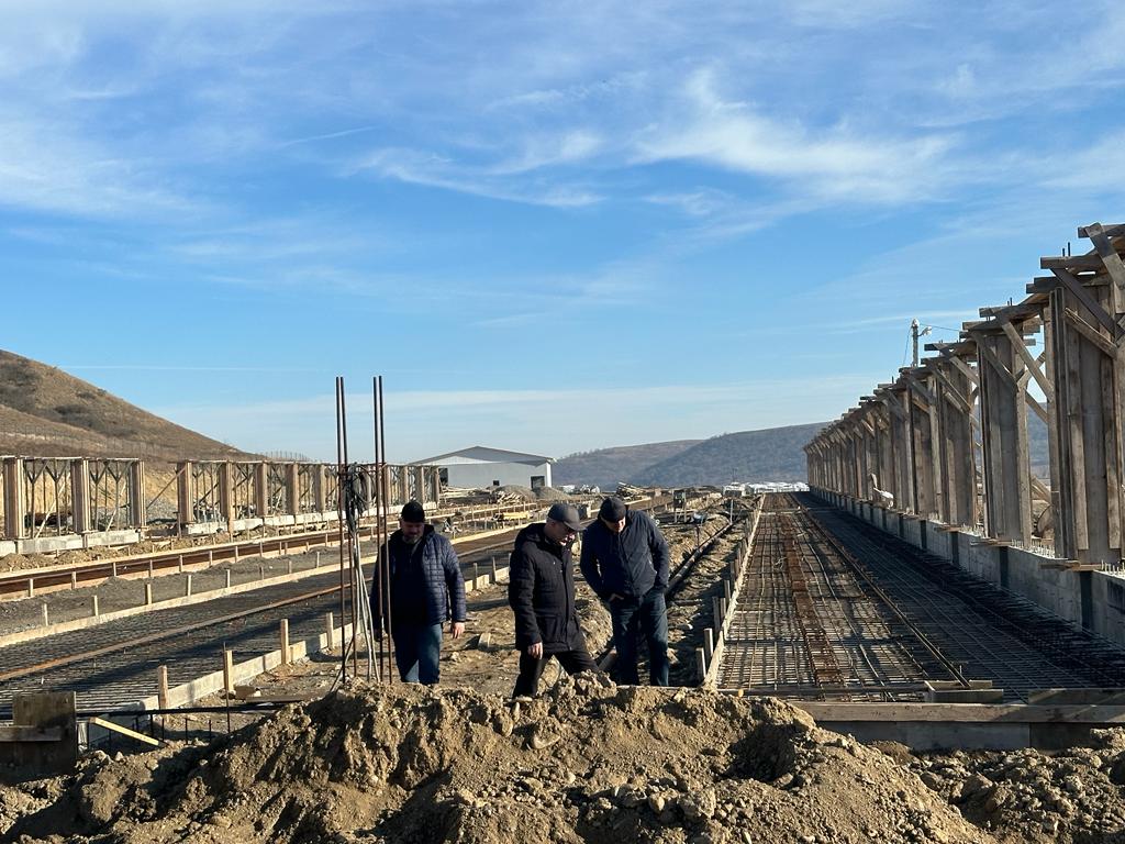 В Дагестане впервые начнут выращивать корма для скота с помощью гидропоники